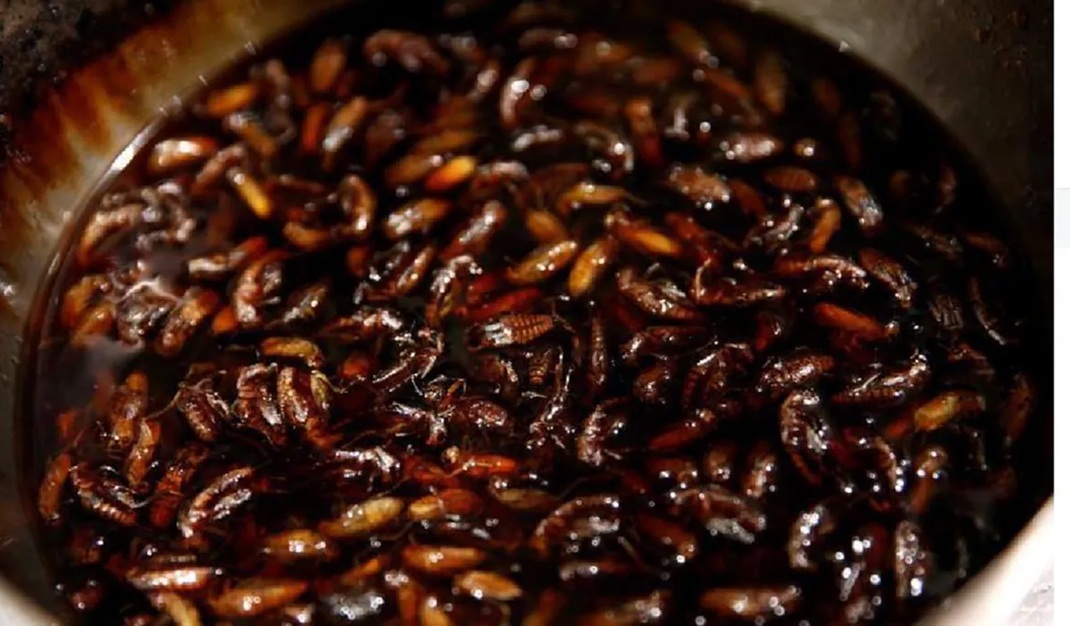 ตัวอะไรเนี่ย!! กินราเมงในญี่ปุ่น! แทบช็อก! เห็น "แมลง" ตกไปตาย! แว้บแรก!นึกว่าอาหารไม่สะอาด? อ๋อ!! ที่แท้มันคือเมนูใหม่