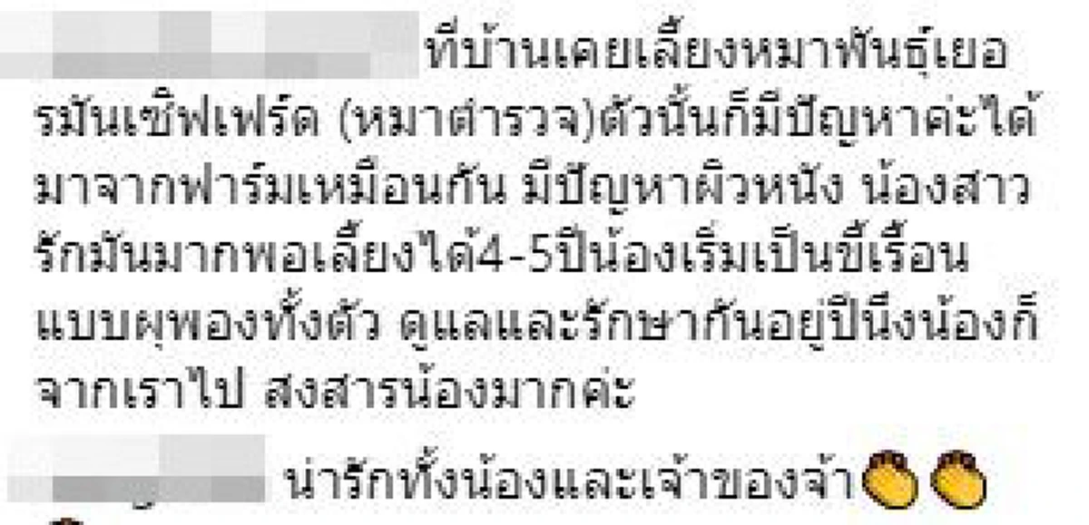 เจ้าตูบยังนอนดูดผ้าเน่าแม้โตเต็มวัย เจ้าของเล่าความหลังมันถูกทอดทิ้งไม่เคยได้กินแม้นมแม่