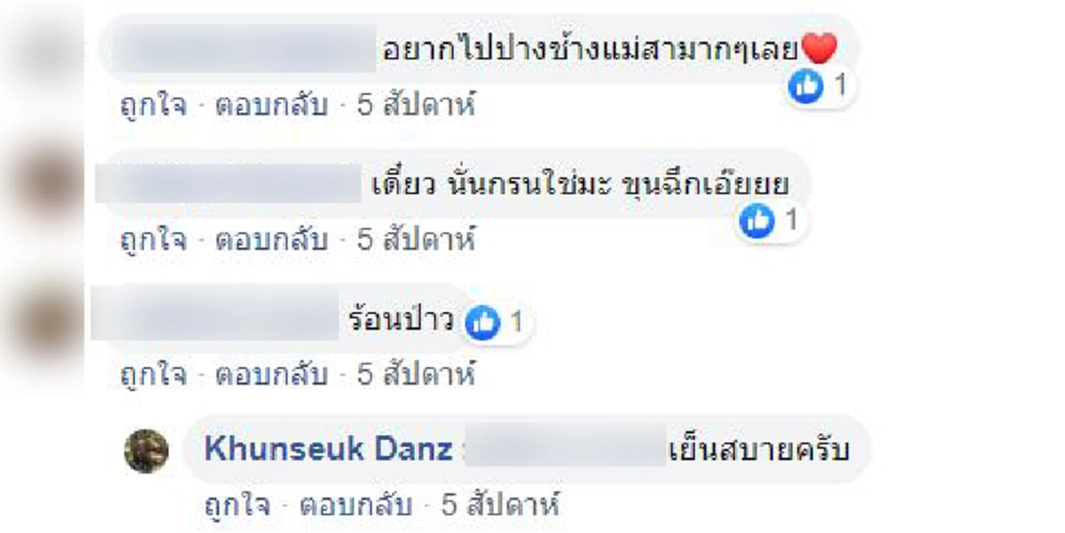 เจ้าขุนศึกช้างน้อยนอนกรนเสียงดัง ขโมยหัวใจแฟนคลับ (คลิป)