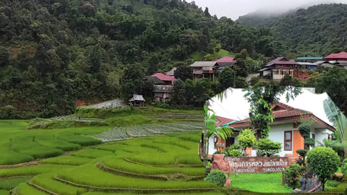 ชมธรรมชาติ รับลมหนาว ตามรอยพ่อ ในเส้นทางที่ ในหลวง ร.๙ ทรงสร้างไว้ ศูนย์พัฒนาโครงการหลวงแม่ลาน้อย จ.แม่ฮ่องสอน