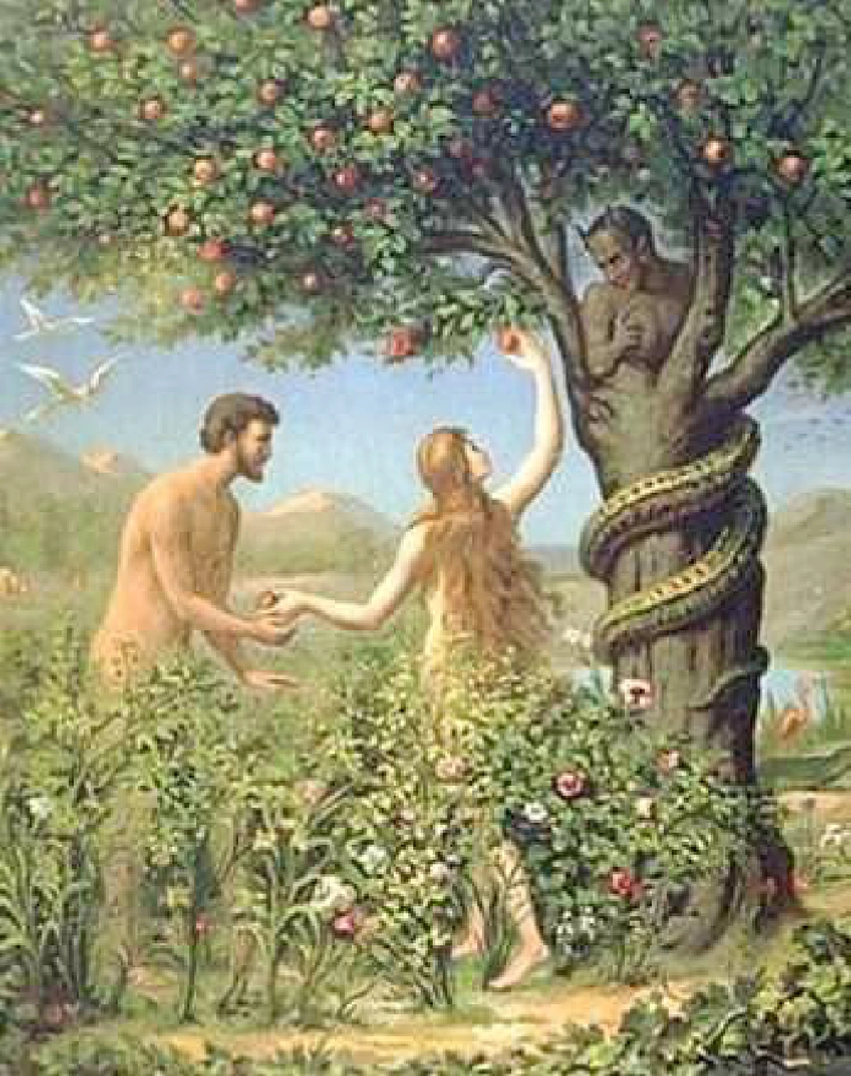 ประวัติต้นคริสต์มาส