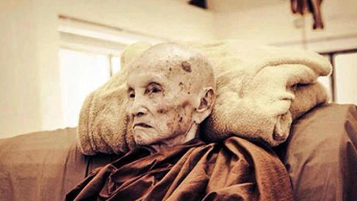 หลวงปู่จามออกธุดงค์แม่สาบ สะเมิง มีเสือโคร่งและกวางป่ามาคอยเฝ้าทั้งกลางวันกลางคืน โถที่แท้ลูกหลานเมื่อชาติก่อนมาคอยดูแล!!!#ประสบการณ์พระป่า