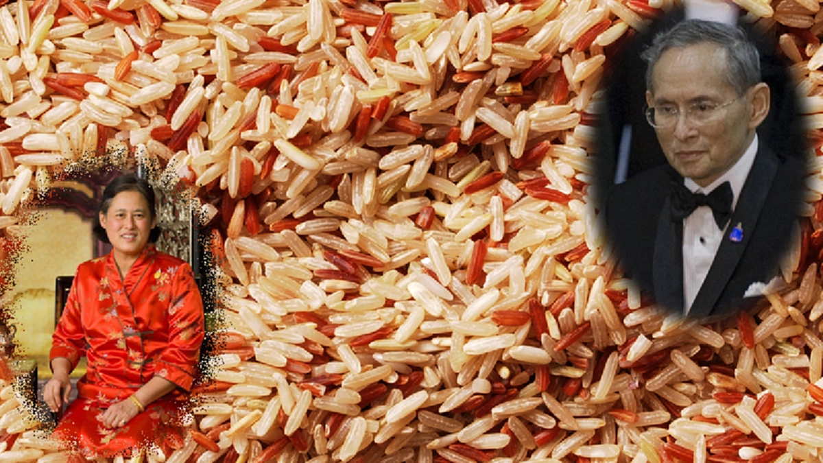 "เรากินข้าวกล้องทุกวัน เรานี่แหละคนจน" พระราชอารมณ์ขันของสมเด็จพระเทพฯที่ทรงมีกับนักข่าว