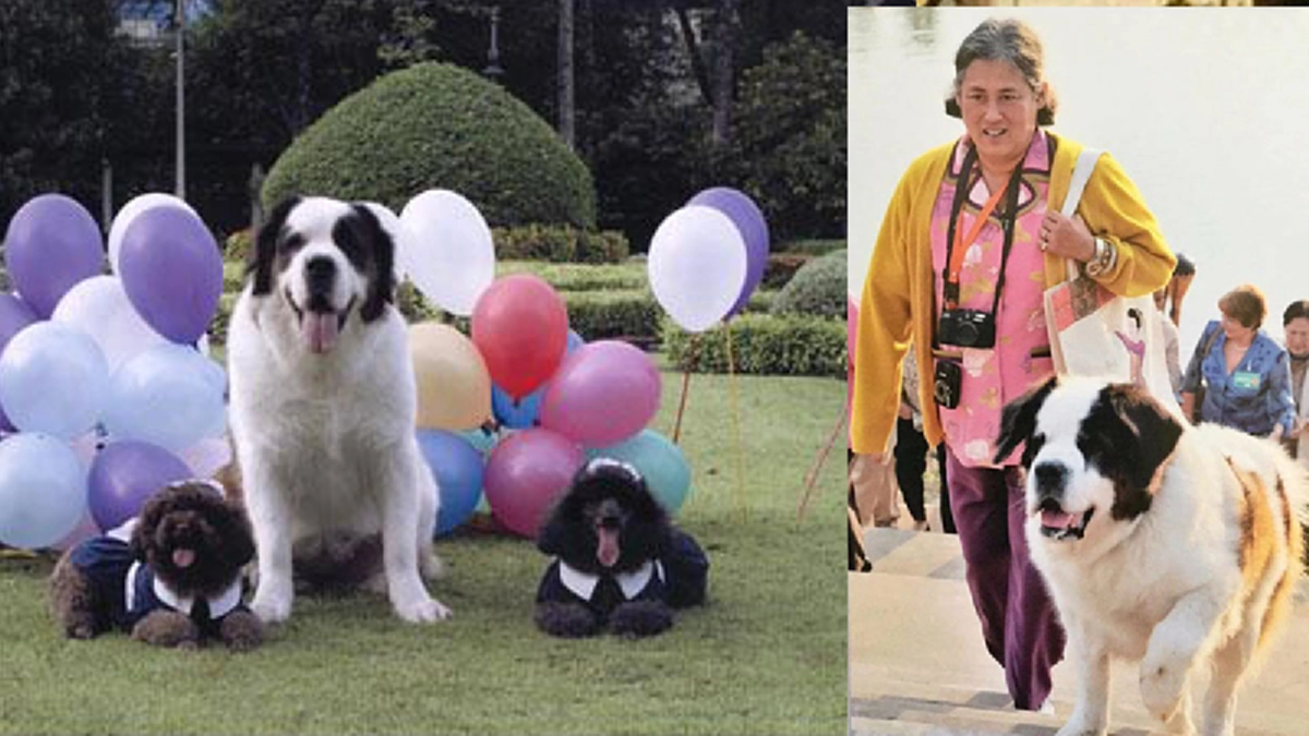 “เมื่อเข้ามาเป็นสุนัขของพระมหากษัตริย์ไทย ก็จะน่าจะมีชื่อเป็นไทยๆ” หลวงแจ่ม ภักดี ชื่อพระราชทานของสุนัขข้างวังที่ทรงพระเมตตา