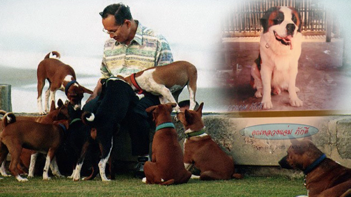 “เมื่อเข้ามาเป็นสุนัขของพระมหากษัตริย์ไทย ก็จะน่าจะมีชื่อเป็นไทยๆ” หลวงแจ่ม ภักดี ชื่อพระราชทานของสุนัขข้างวังที่ทรงพระเมตตา