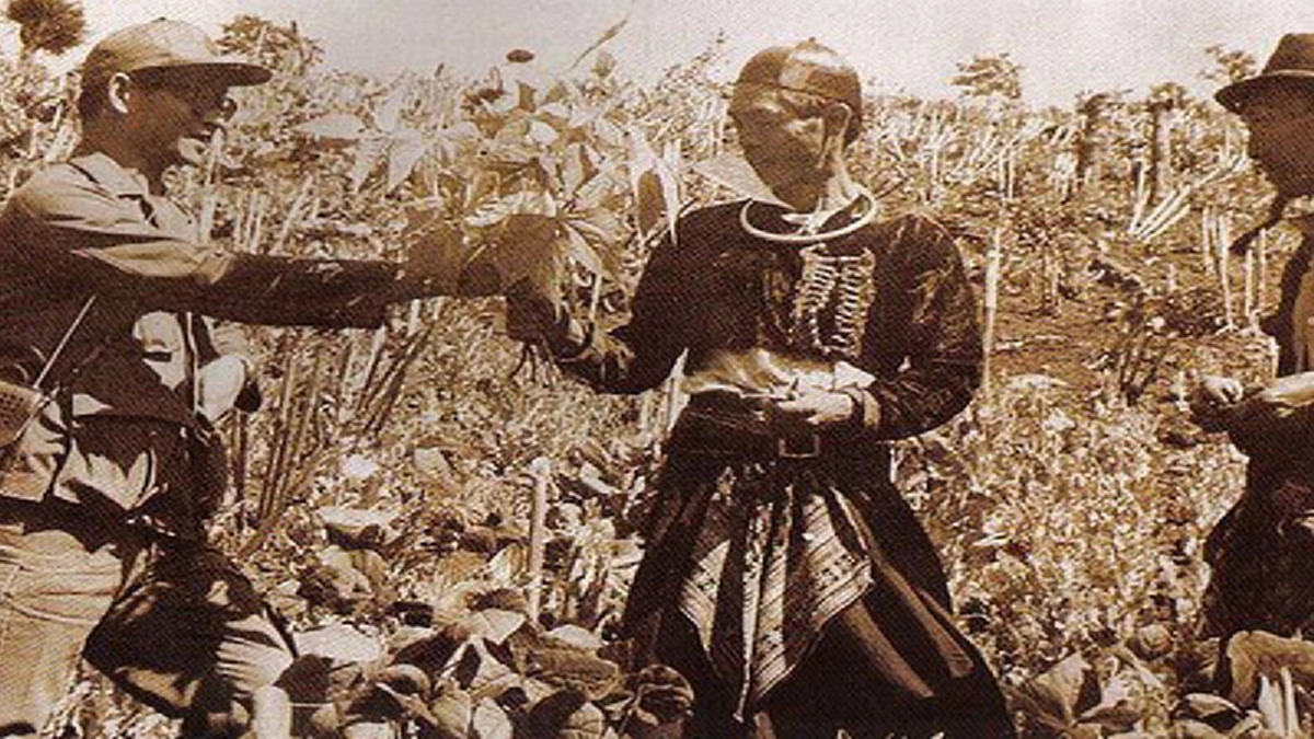 ‘ฟังให้ดีๆนะจะเลี้ยงหมูให้มันอ้วนโตเร็วๆ ต้องให้มันกินให้อิ่ม’ วิธีเลี้ยงสัตว์ ที่ในหลวง ร.๙ ทรงบอกแก่ชาวเขาตรง เรียบ ง่าย จนนักวิชาการอี้ง!