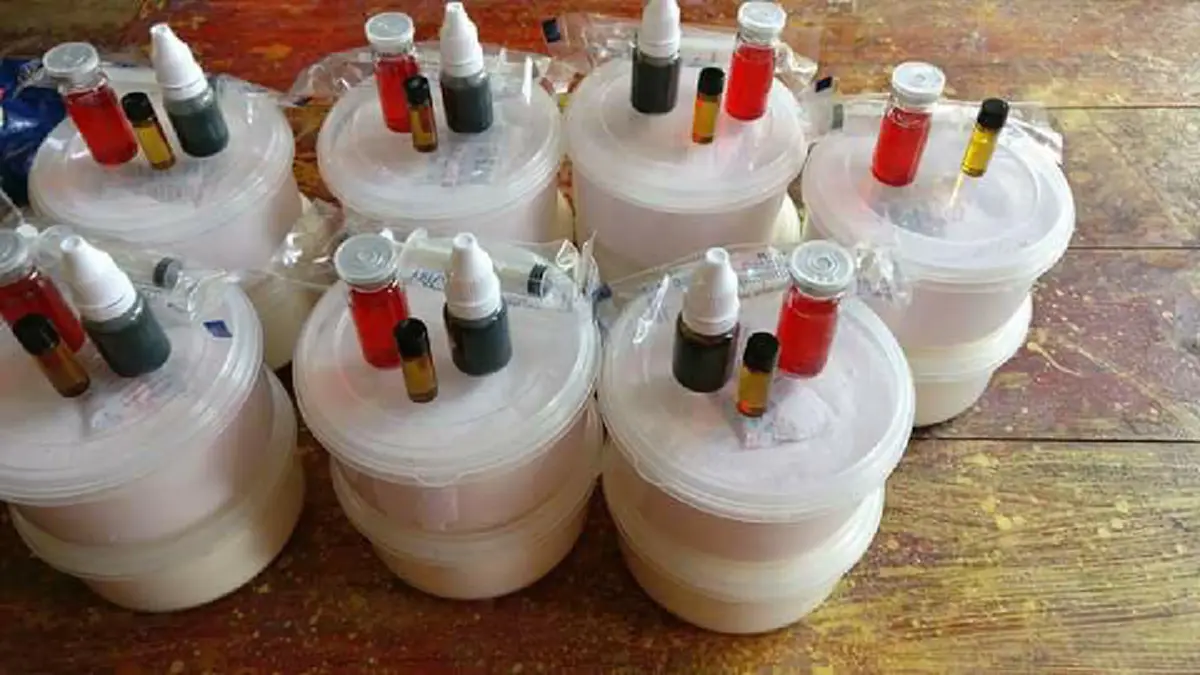 ตรวจสอบด่วนหนุ่มใช้ยาวัวฉีดให้ลูกสุนัข อ้างผลลัพธ์เพื่อให้คนอยากเลี้ยง ถ้าจริงถือเป็นการทรมานสัตว์ วอนผู้รู้แนะนำ!! (ชมคลิป)