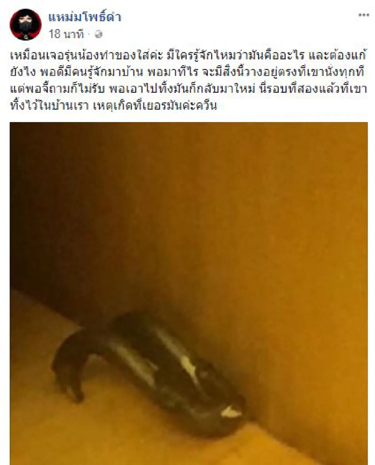 ขนหัวลุกซู่ !! สาวเจอของแปลกถูกวางไว้ในบ้าน เอาไปทิ้งก็กลับมาใหม่ หน้าตาเหมือนของคุณไสย...ขอความช่วยเหลือด่วนๆ!