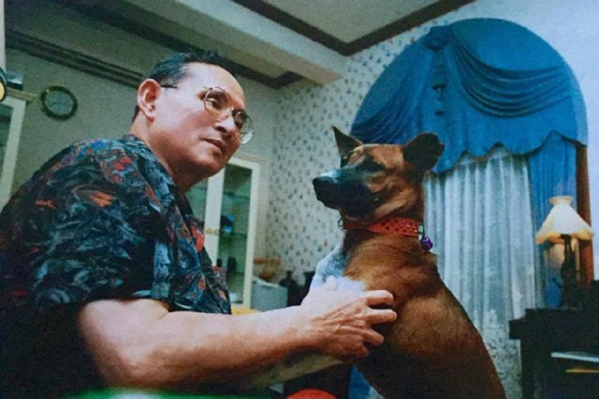 เผยประวัติ!! คุณทองแดง สุนัขทรงเลี้ยงแสนรู้ของพ่อหลวงรัชกาลที่๙ (รายละเอียด)