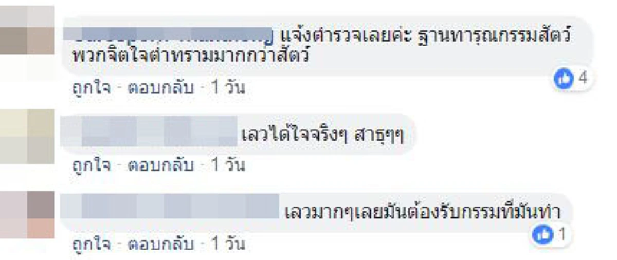 นี่หรือจิตใจมนุษย์ ทะเลาะกันหาที่ลงไม่ได้เตะลูกแมวจรอายุ1เดือนอาการสาหัส!