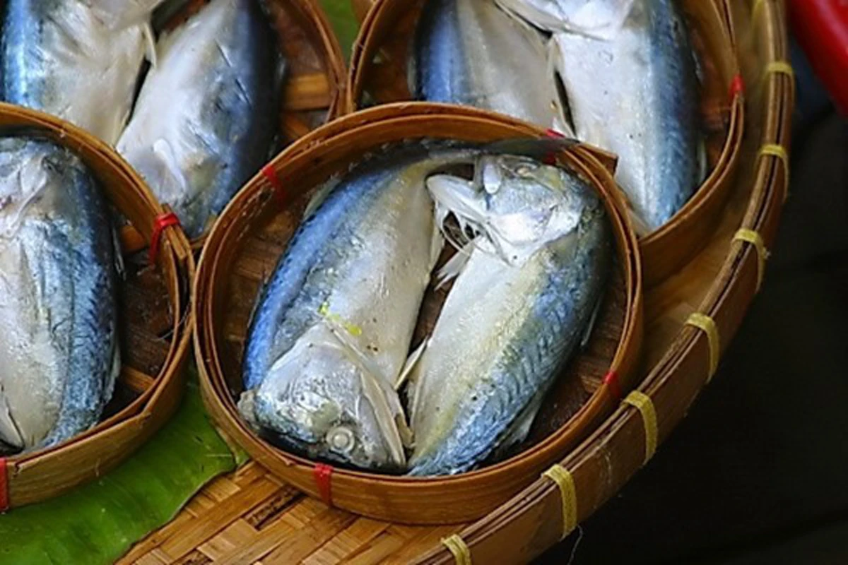 หลายคนไม่เคยรู้!!! นี่คือ 7 สรรพคุณของปลาทูที่อยู่ในเข่ง ทานบ่อยๆลดความเสี่ยงโรคร้ายได้!!?