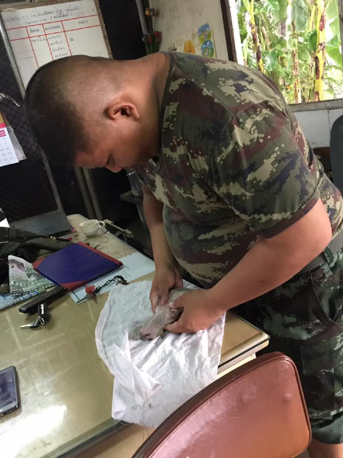 ฟื้นมา ฟื้นมาสิลูก!! นายทหารร้องสุดเสียงขณะช่วยยื้อชีวิตลูกสุนัขจมน้ำ หวิดดับหลายรอบไม่ย่อท้อ ดูจบถึงกับน้ำตาไหล ชื่นใจเหลือเกิน (คลิป)