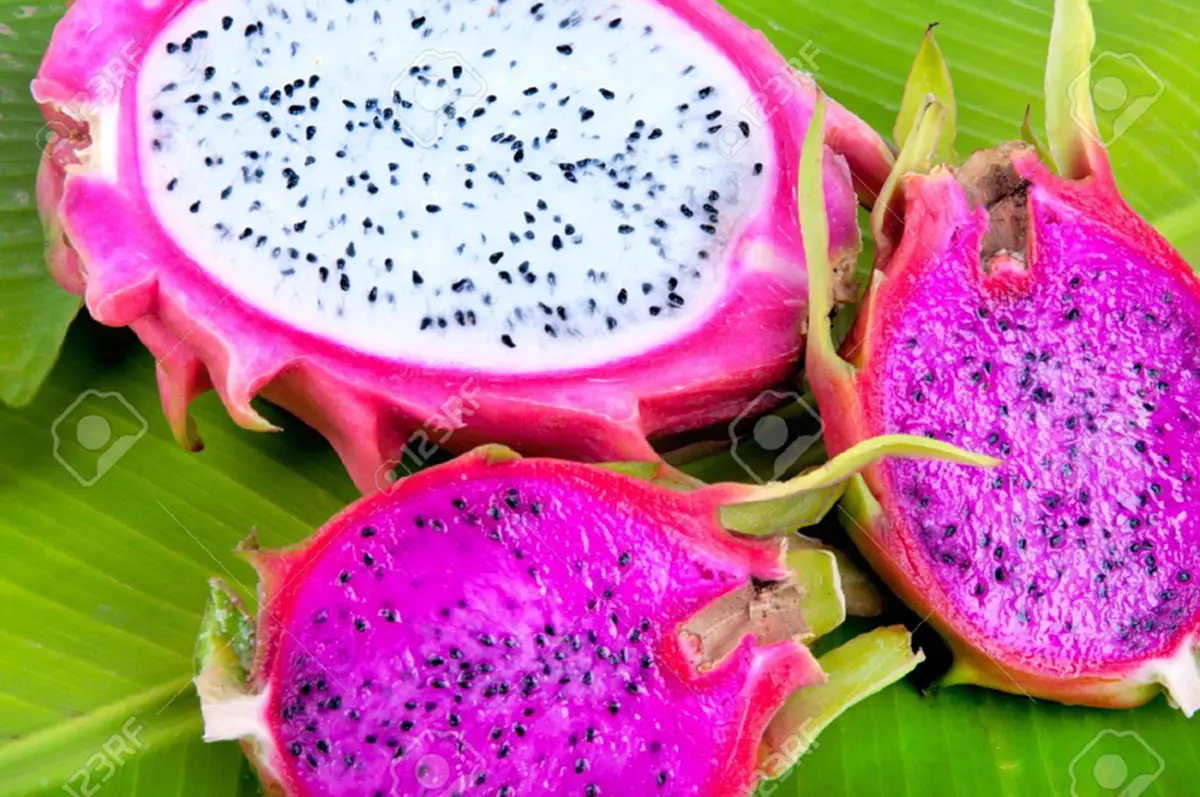 5 ผลไม้ผลไม้รูปทรงกลมรี มากสรรพคุณทางสมุนไพร!! แถมมีฤทธิ์ต้านมะเร็ง (รายละอียด)