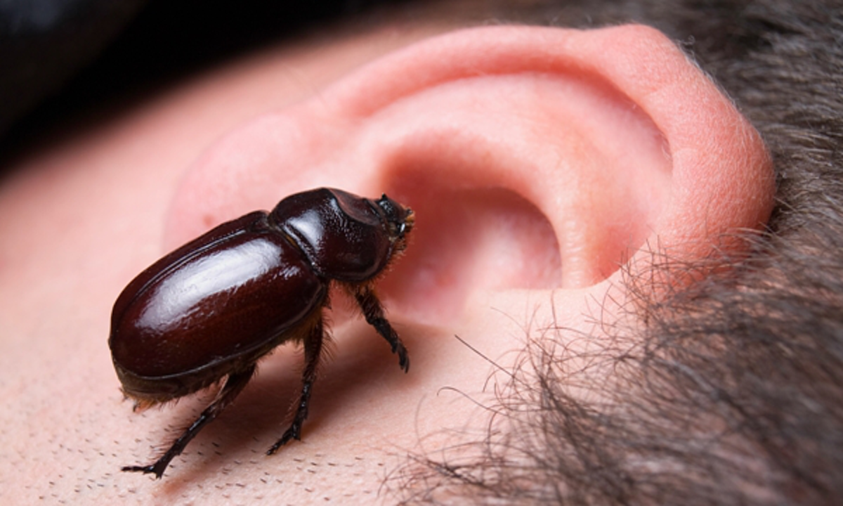 #คนมีเด็กอย่าเลื่อนผ่าน!! "แมลงเข้าหู" เกิดขึ้นได้ทุกเวลา มาดูวิธีปฐมพยาบาลเบื้องต้นง่าย ๆ ที่คุณสามารถทำได้เพื่อความปลอดภัย!!