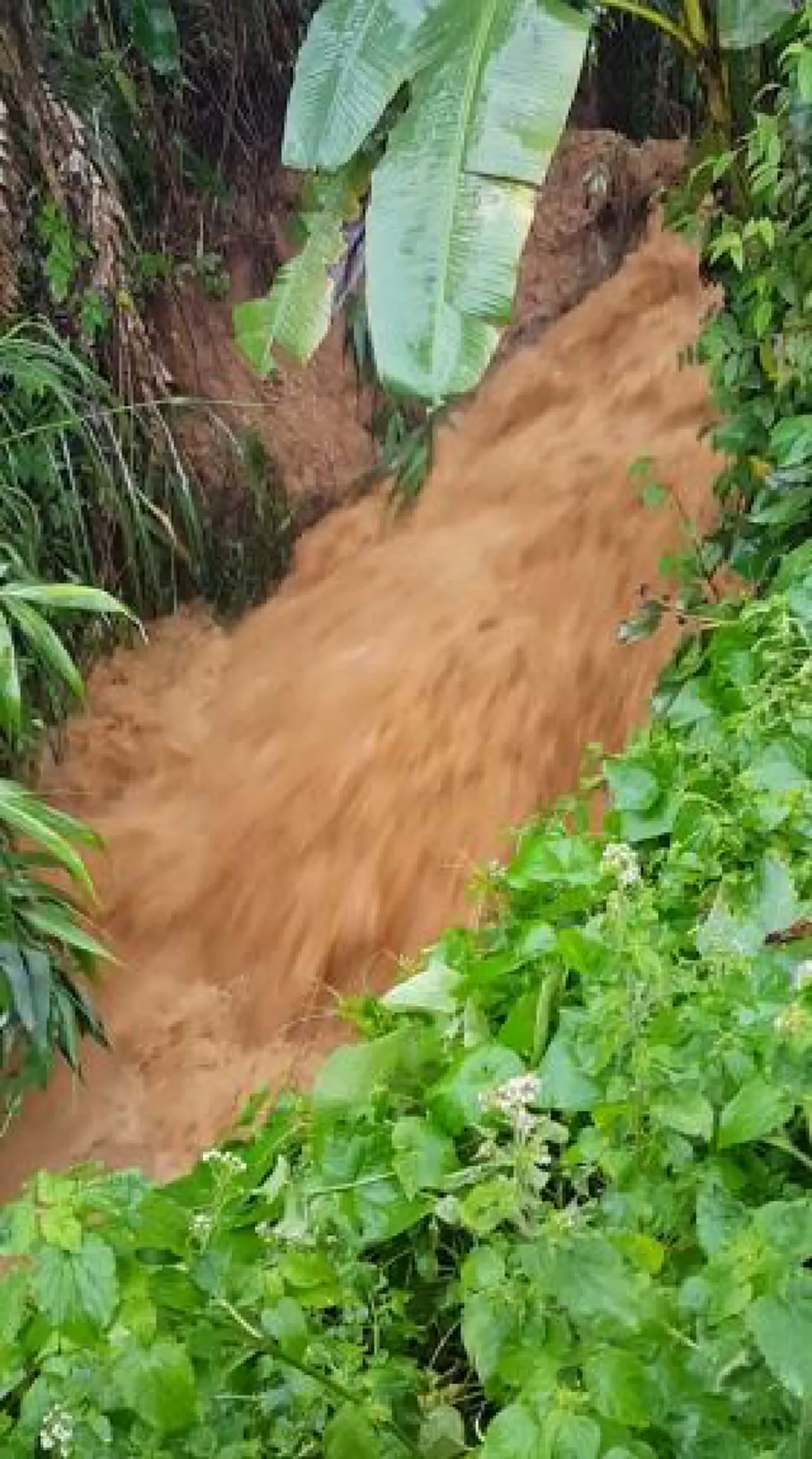 วินาทีน้ำป่าทะลัก !!! "ภูทับเบิก"ระทึกหนัก พิษฝนกระหน่ำต่อเนื่องในวันที่นักท่องเที่ยวหนาแน่น น้ำไหลบ่าท่วมเส้นทาง ! (มีคลิป)