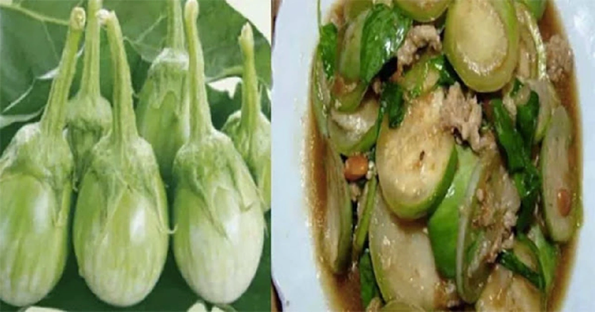 มะเขือเปราะ