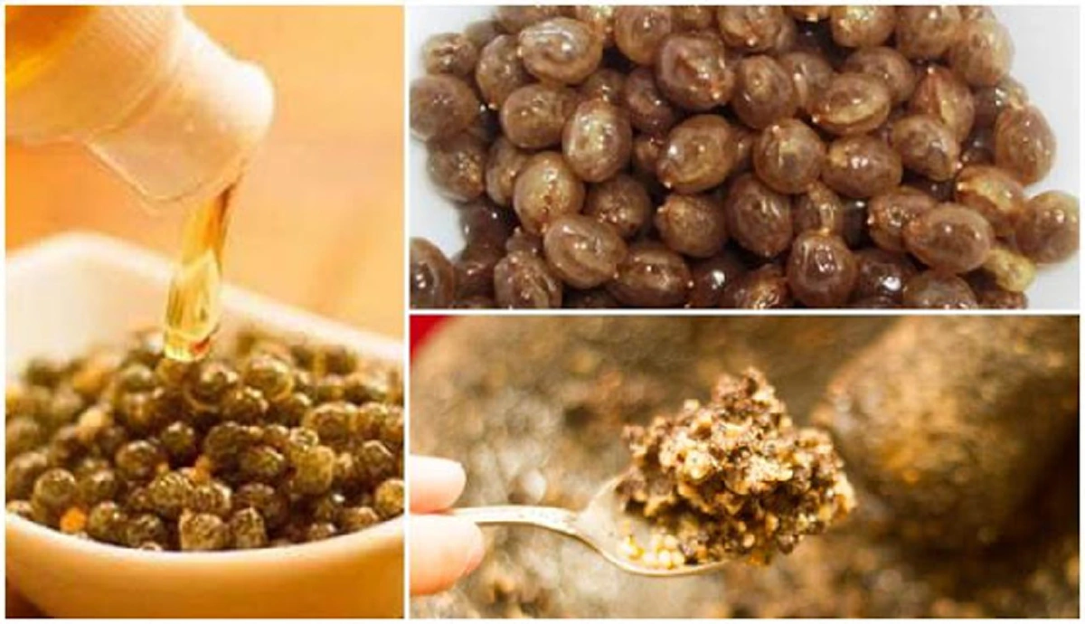 อย่าทิ้งเด็ดขาด!!! ประโยชน์ของเมล็ดมะละกอ ของดีที่เรามองข้าม น่าเสียดายที่ทิ้งไปตั้งเยอะ!!!