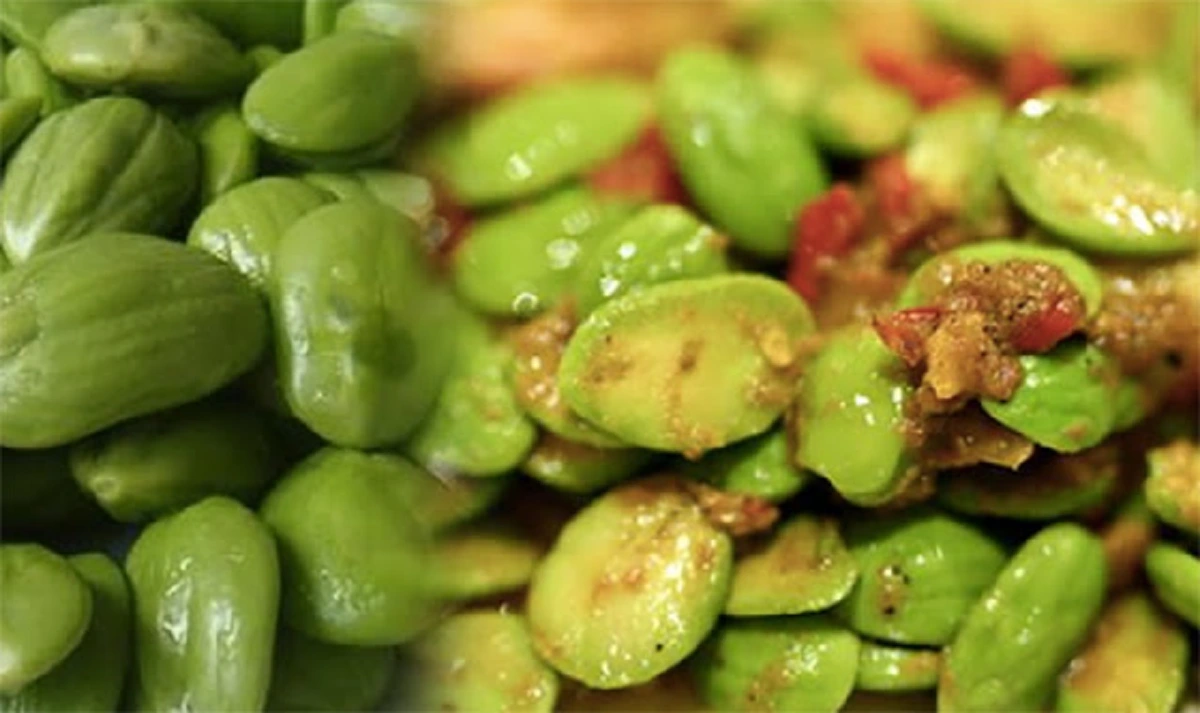 หลายคนยังไม่รู้!! 20 คุณประโยชน์ของสตอ แต่ข้อเสียคือกลิ่น!! นี่คือวิธีดับกลิ่น "สะตอ" ได้ง่ายๆด้วยสิ่งนี้...!!?