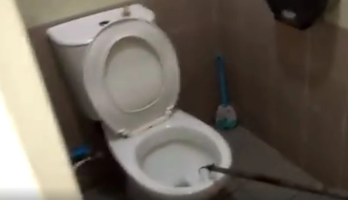 สะดุ้งเฮือก หนุ่มปลดทุกข์อยู่ดีๆ เจองูเหลือมโผล่จากคอห่านกัดหว่างขาเลือดไหล (คลิป)