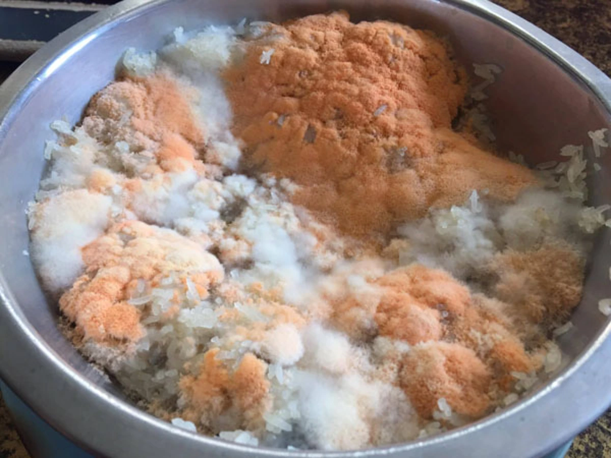 #โง่มาตั้งนาน!! 3 เคล็ดลับเด็ด สุดยอดวิธีแก้ปัญหาข้าวบูดเร็ว ฆ่าเชื้อแบคทีเรียในหม้อหุงข้าว พอรู้แล้วถึงกับอึ้ง แชร์เก็บไว้ด่วนๆ !!