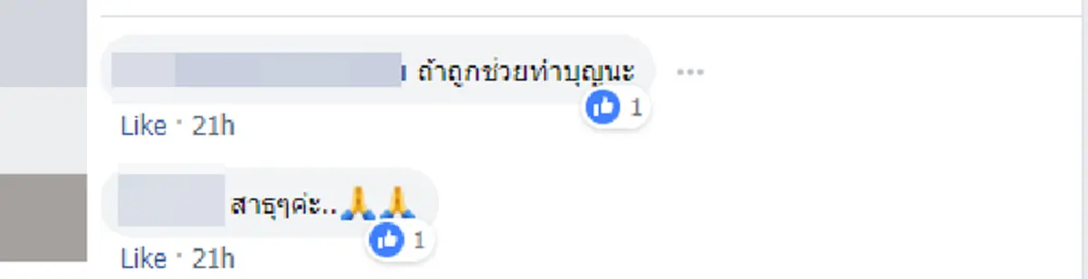 น้องเฮงเฮง เจ้านกแก้วแสนรู้ จัดให้ 4 ตัวเน้นๆ
