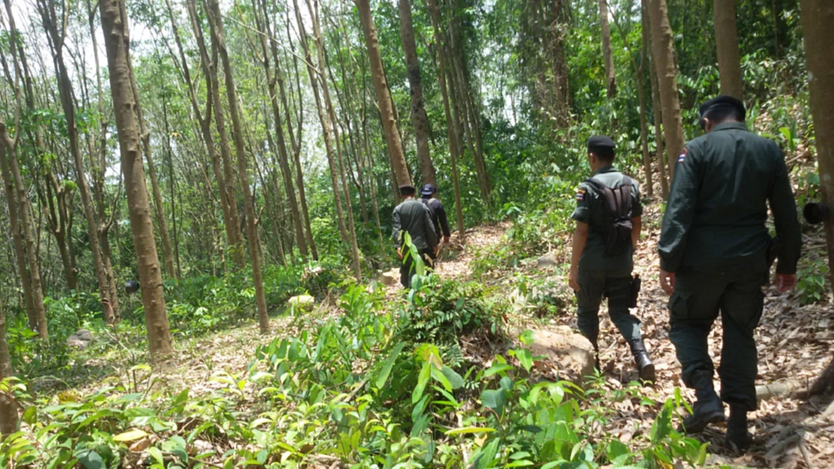 "กรมป่าไม้" เดินหน้า! เตรียมส่งมอบป่าสงวน 10 ล้านไร่ เพิ่ม พื้นที่ป่าเร่งผลักดันป่าเศรษฐกิจสนับสนุนราษฎรปลูกไม้มีค่า!!!