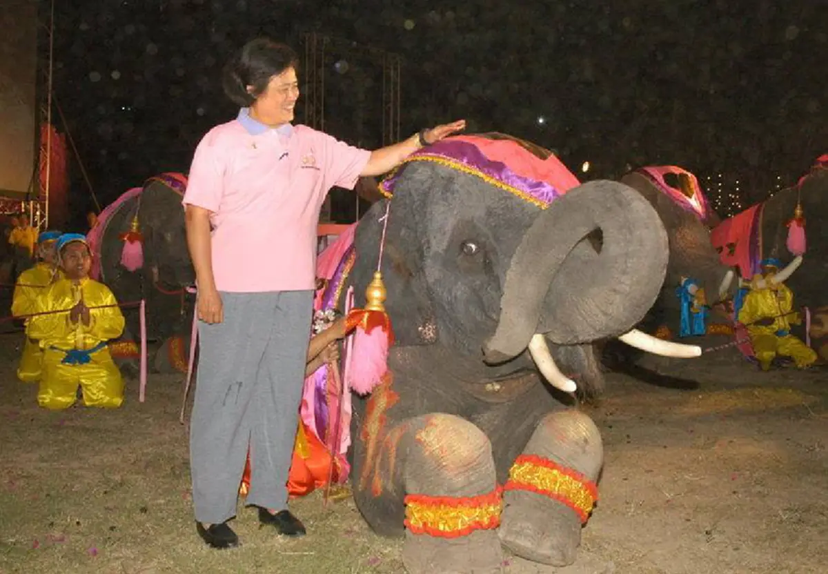 พระเทพฯตรัสเล่าความผูกพันต่อคุณพระเศวต "ฉันชอบช้างมากที่สุด" ตรัส ร.10 เป็นพระองค์แรกที่ทรงทำให้ใครๆต่างถือช้างเป็นสัญลักษณ์ของพระเทพฯ