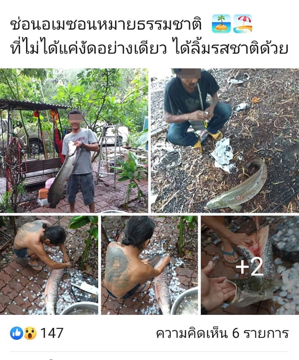 เพจดัง ชื่นชม ชาวบ้านกลุ่มตกปลา เอาปลาช่อนอเมซอน มาทำอาหาร