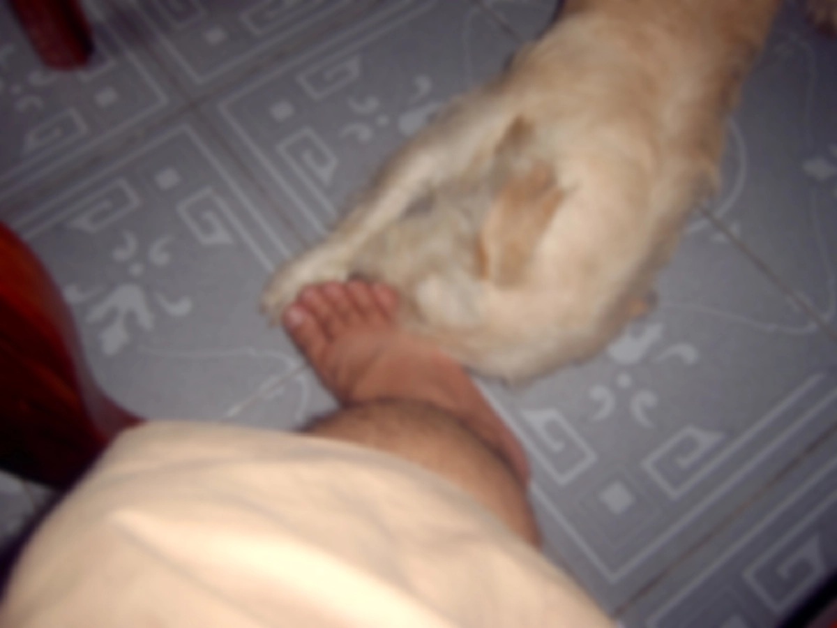 พวกเก่งกับหมาอ่านไว้!!! ระวังให้ดี เตะหมาเพราะหมั่นไส้ โทษถึงคุก ปรับหลักหมื่น!!!(รายละเอียด)