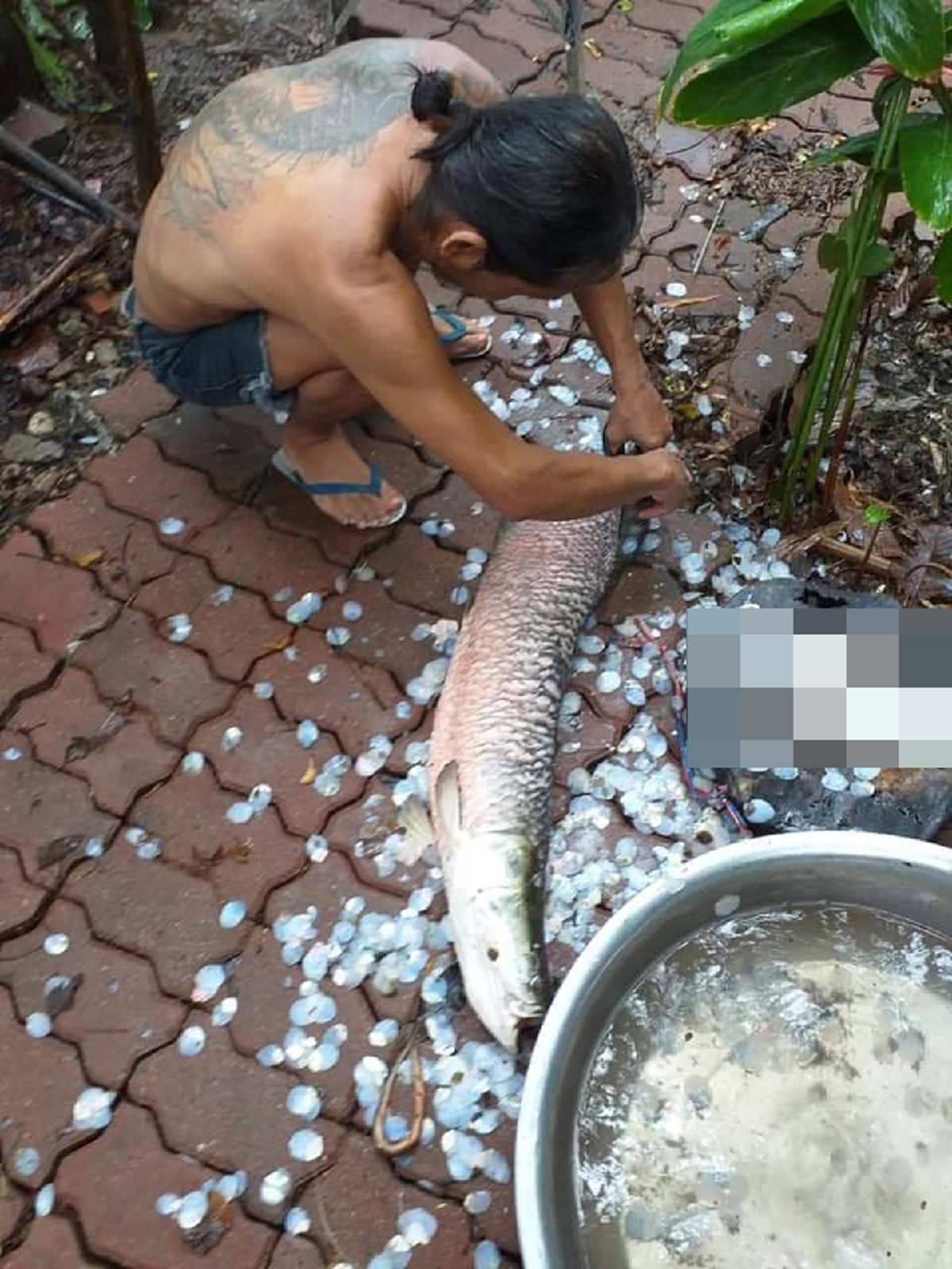 เพจดัง ชื่นชม ชาวบ้านกลุ่มตกปลา เอาปลาช่อนอเมซอน มาทำอาหาร