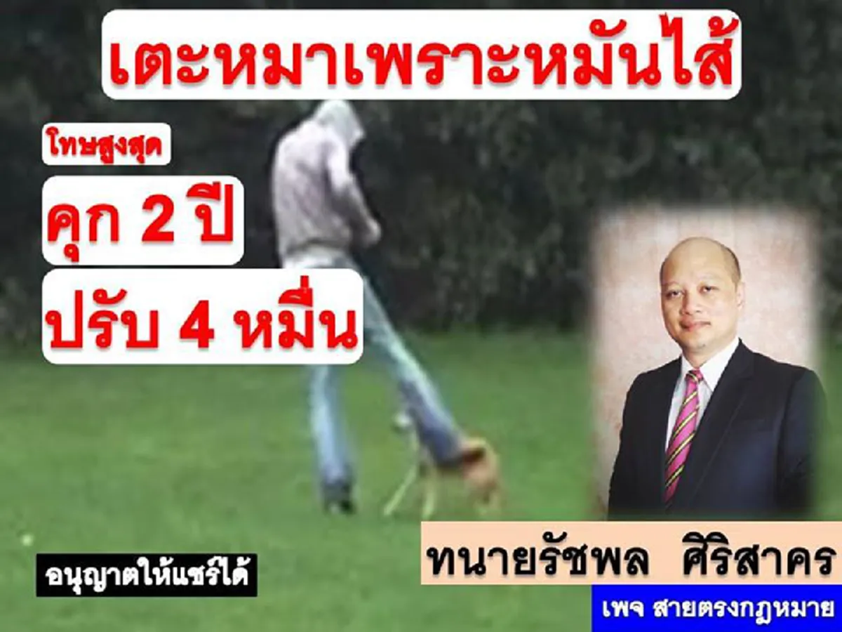 พวกเก่งกับหมาอ่านไว้!!! ระวังให้ดี เตะหมาเพราะหมั่นไส้ โทษถึงคุก ปรับหลักหมื่น!!!(รายละเอียด)