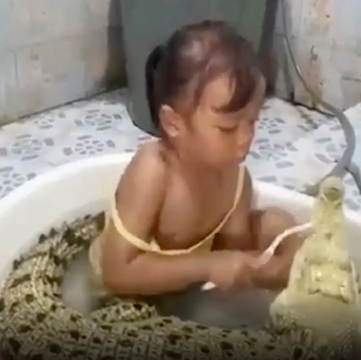 หนูน้อยวัย 3 ขวบกินนอนอยู่กับ ‘จระเข้’ แถมโชว์มุ้งมิ้งด้วยการแปรงฟันมันให้ดู(คลิป)