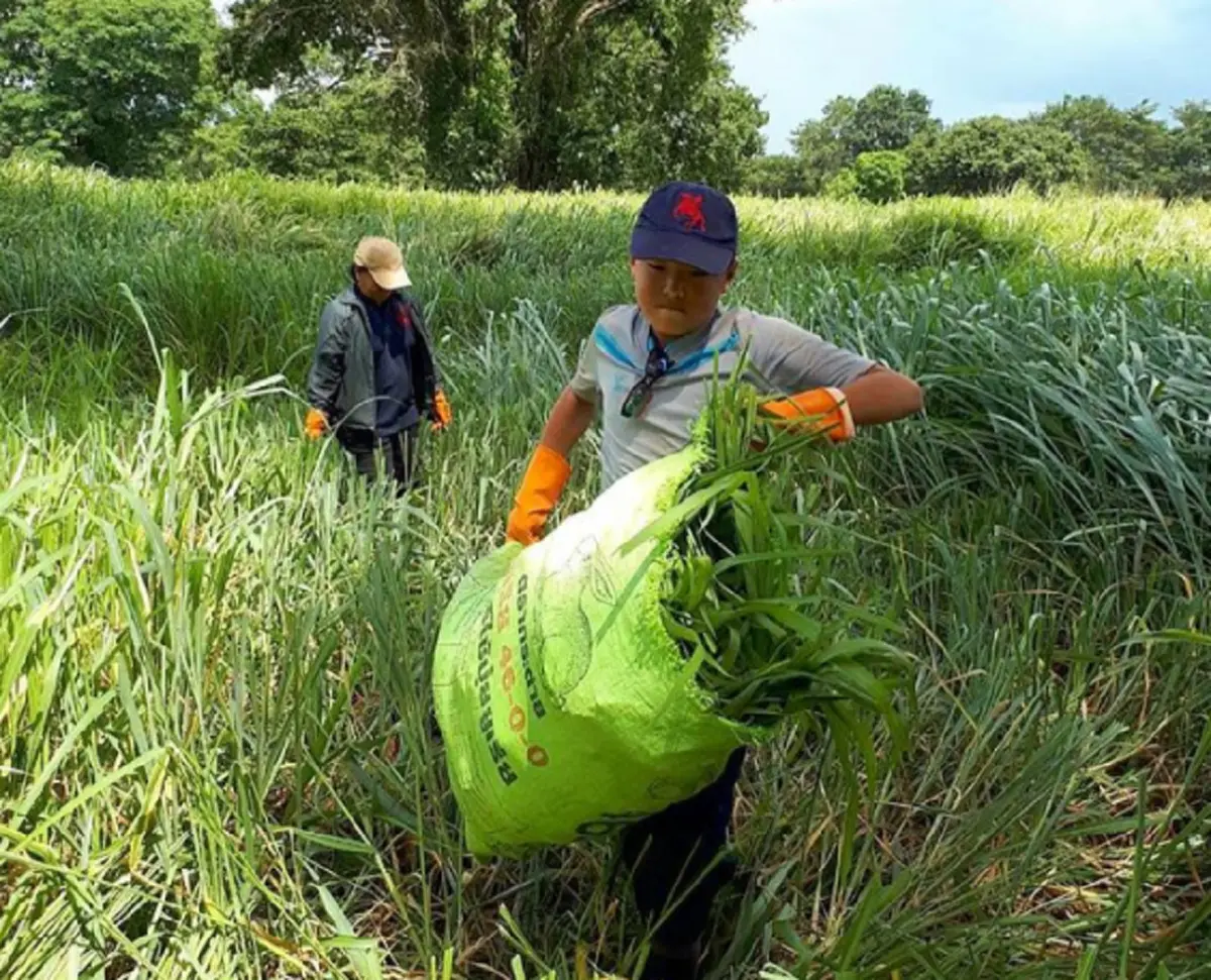 น่าชื่นชมสุดๆ "น้องปราบ" ลูกชาย "โชค-สู่ขวัญ" รวยมาก แต่ขยันช่วยทำงานในฟาร์มหาเงินใช้เอง