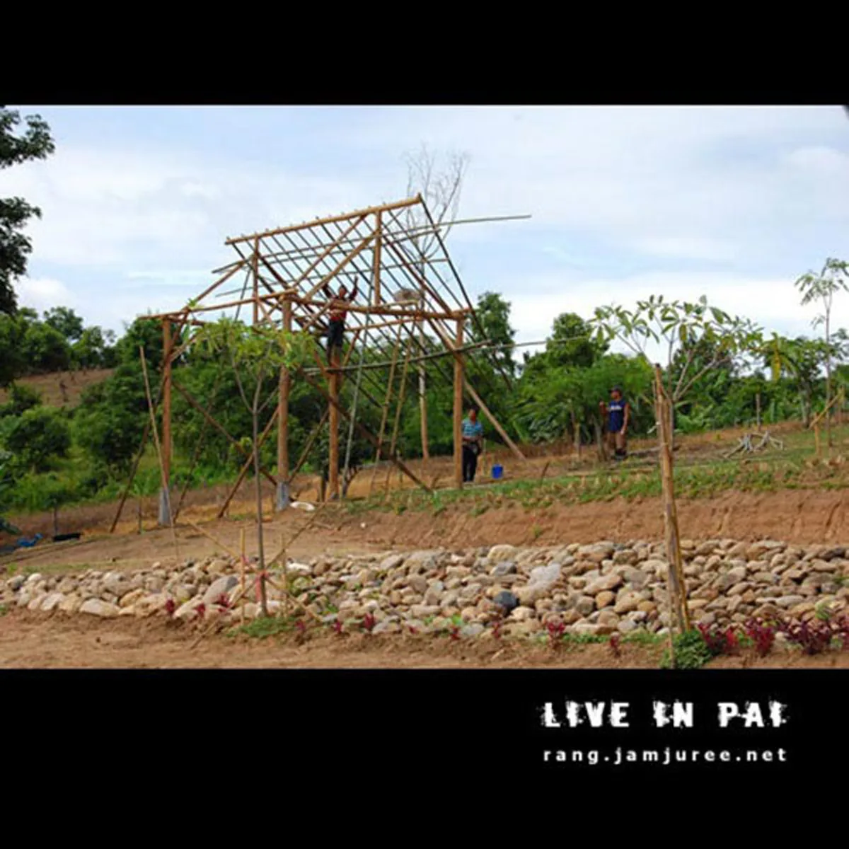 ไอเดียโคตรบรรเจิด!!สามคนพี่น้อง ช่วยกันสร้างกระท่อมไม้ไผ่ไว้อยู่เองหลังเล็กๆ แต่แข็งแรง อยู่ได้ถาวร..พอได้เห็นข้างในแทบตาค้าง มันสุดยอดจริงๆ