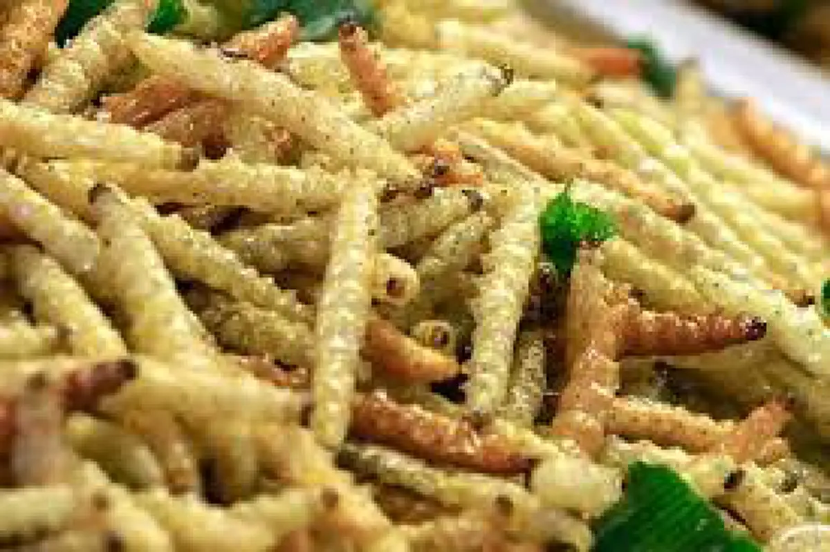 อ้วกแทบพุ่ง!! เอาจริงดิ?? 10 อันดับ แมลงประหลาดที่กินได้เพื่อความอยู่รอด!! ใครเคยกินตัวไหนบ้าง?? (รายละเอียด)