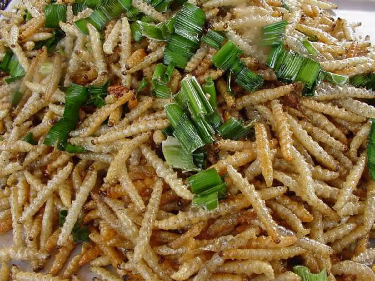 อ้วกแทบพุ่ง!! เอาจริงดิ?? 10 อันดับ แมลงประหลาดที่กินได้เพื่อความอยู่รอด!! ใครเคยกินตัวไหนบ้าง?? (รายละเอียด)