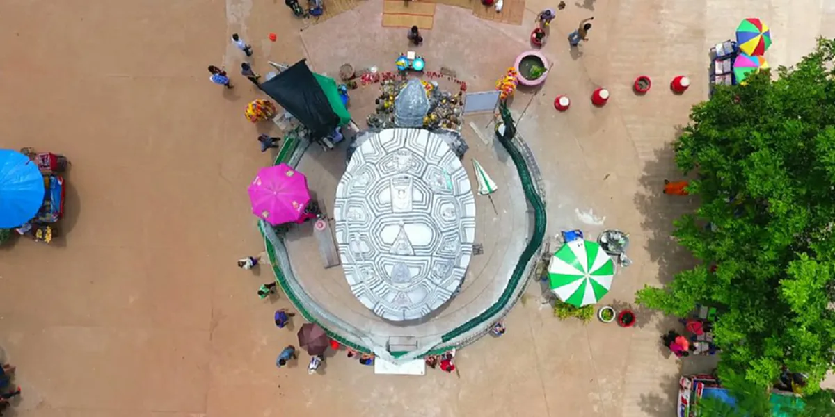 ไม่ตามถือว่าพลาด!! เซียนหวย เผย..ฝันเห็น "พญาเต่างอย" บอกเลขเด็ด 2 ตัวตรง เน้นๆ... คอหวยแตกตื่น วุ่นแห่ซื้อเกลี้ยงแผงภายในไม่กี่นาที !!