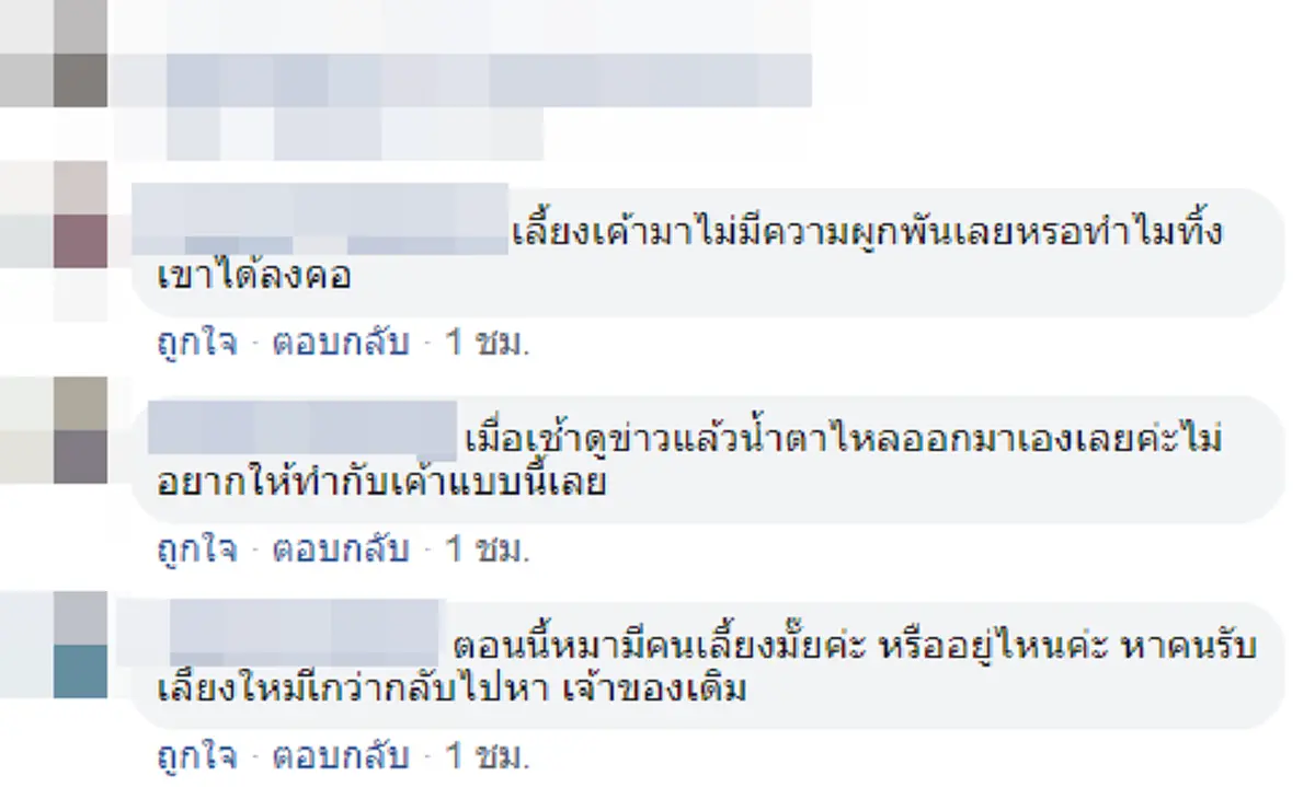 เจ้าของกระบะนำสุนัขปล่อยทิ้งกลางทาง ตูบแสนซื่อวิ่งตามจนแทบหมดแรง (คลิป)