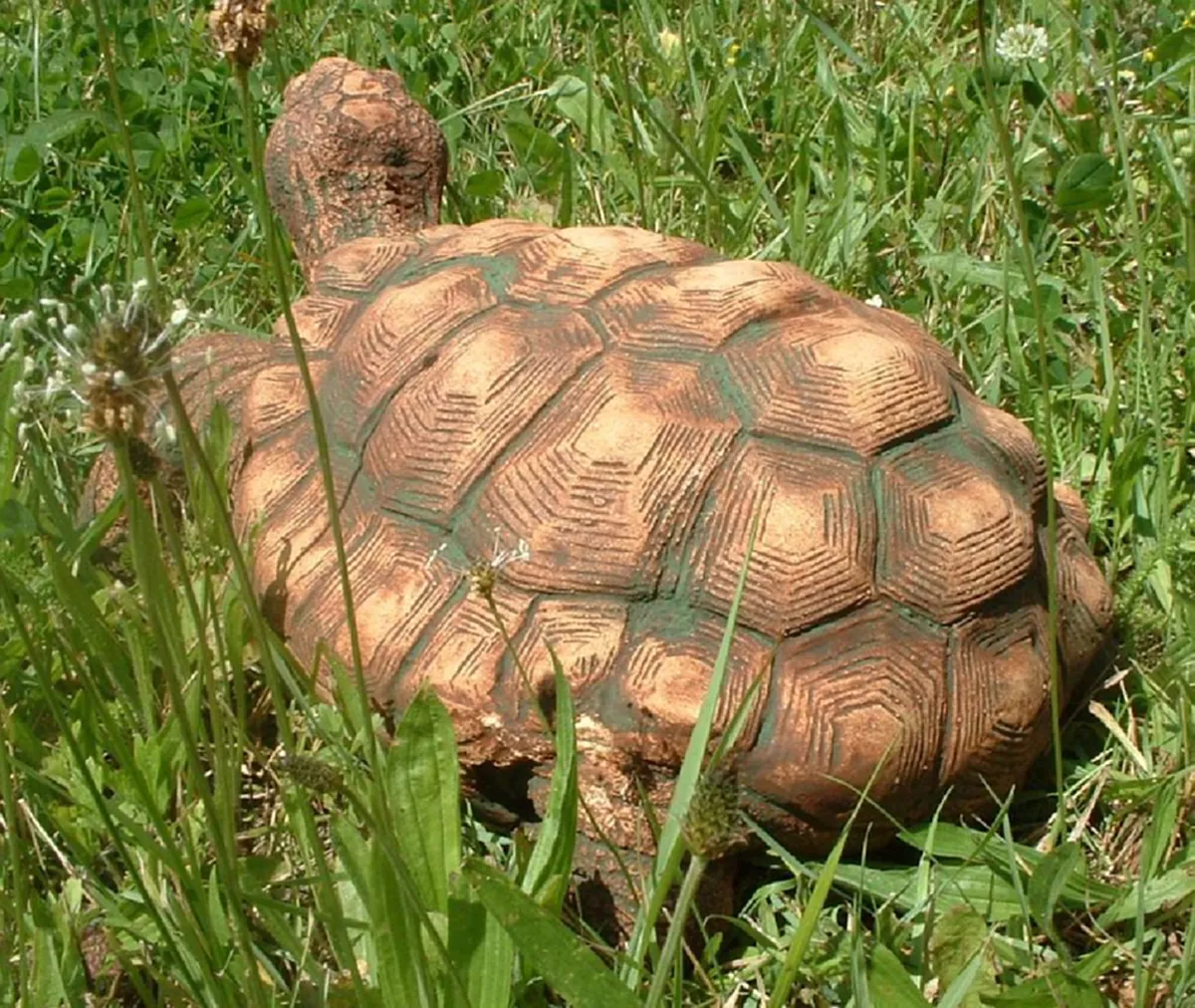 รู้อย่างนี้...ทำนานแล้ว!! เผยของ 9 สิ่ง ตกแต่งบ้านเสริมฮวงจุ้ย ที่หาได้ง่ายๆ ให้ชีวิตเฮง เฮง เฮง