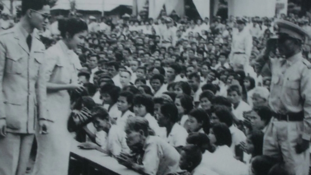 ดอกบัวสายชมพู แทนหัวใจรักภักดีของหญิงชราที่ยังเบิกบานใจตราบเท่านาน