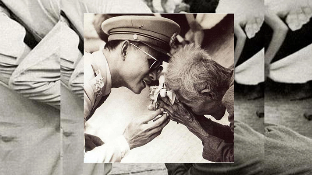 ดอกบัวสายชมพู แทนหัวใจรักภักดีของหญิงชราที่ยังเบิกบานใจตราบเท่านาน