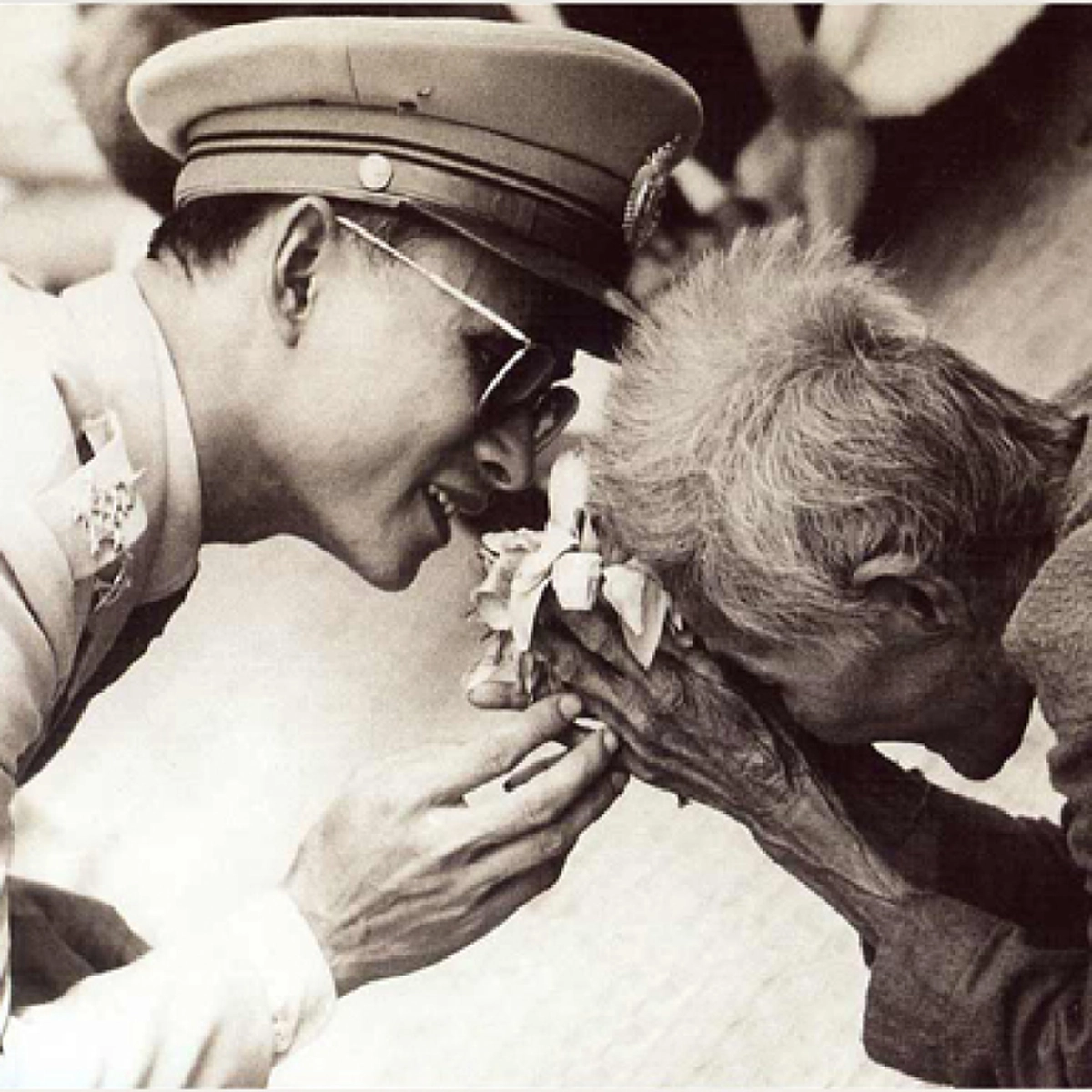 ดอกบัวสายชมพู แทนหัวใจรักภักดีของหญิงชราที่ยังเบิกบานใจตราบเท่านาน