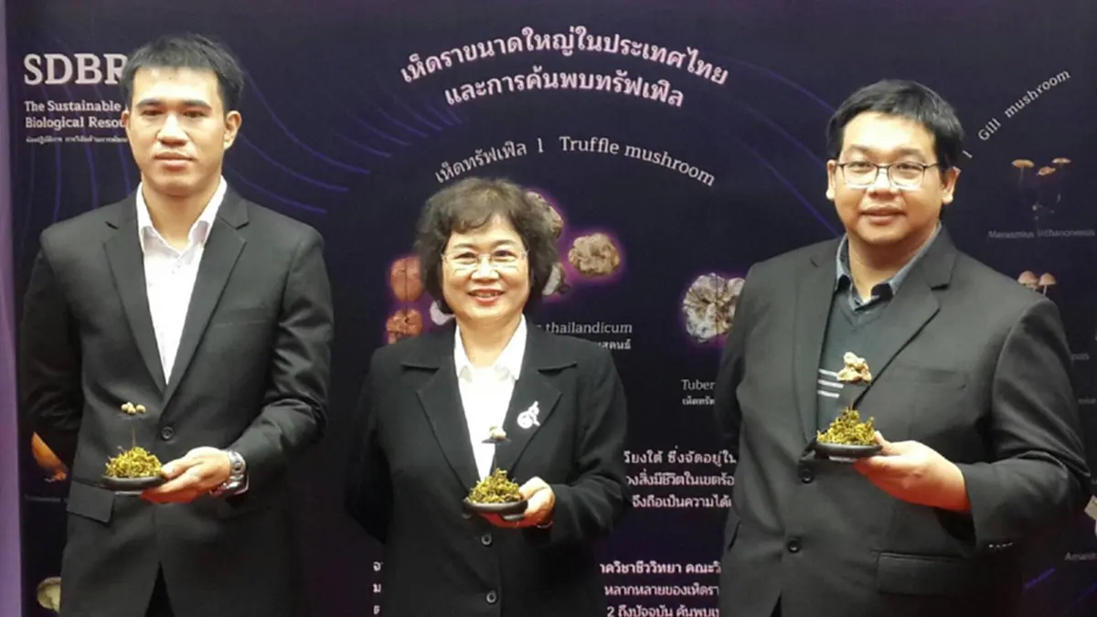 กระหึ่มโลก!นักวิจัยม.เชียงใหม่ค้นพบ"เห็ดทรัฟเฟิล"ราคาสุดแพงชนิดใหม่ครั้งแรกในเขตร้อนชื้น"สมเด็จพระเทพรัตนฯ"ทรงพระราชทานชื่อเป็นมงคลเกษตรไทย