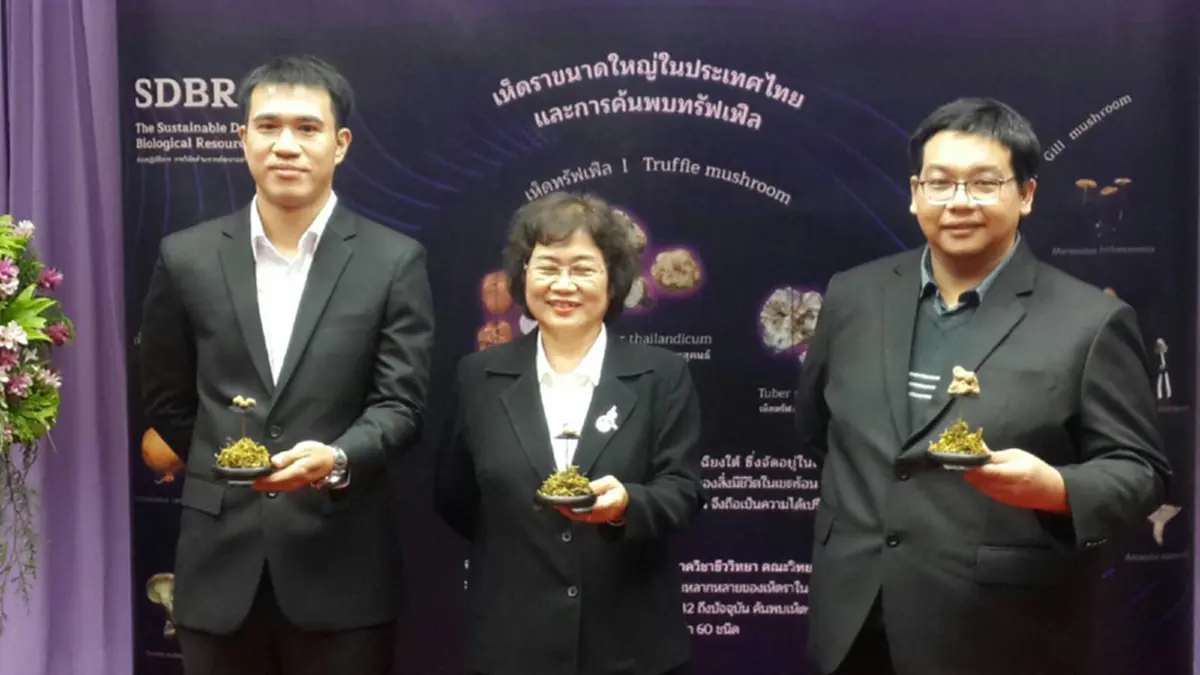 กระหึ่มโลก!นักวิจัยม.เชียงใหม่ค้นพบ"เห็ดทรัฟเฟิล"ราคาสุดแพงชนิดใหม่ครั้งแรกในเขตร้อนชื้น"สมเด็จพระเทพรัตนฯ"ทรงพระราชทานชื่อเป็นมงคลเกษตรไทย