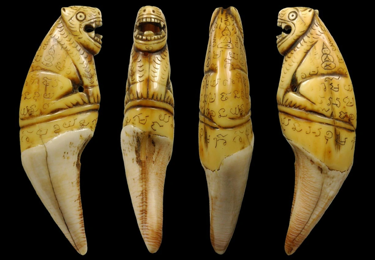 สุดยอดความหายาก..เสือเหลียว "หลวงพ่อนก วัดสังกะสี"ทายาทสืบทอดหลวงพ่อปาน วัดบางเหี้ย เกจิดังผู้ถวายเสือแกะ ร.๕ เข้มขลังทุกๆด้าน.