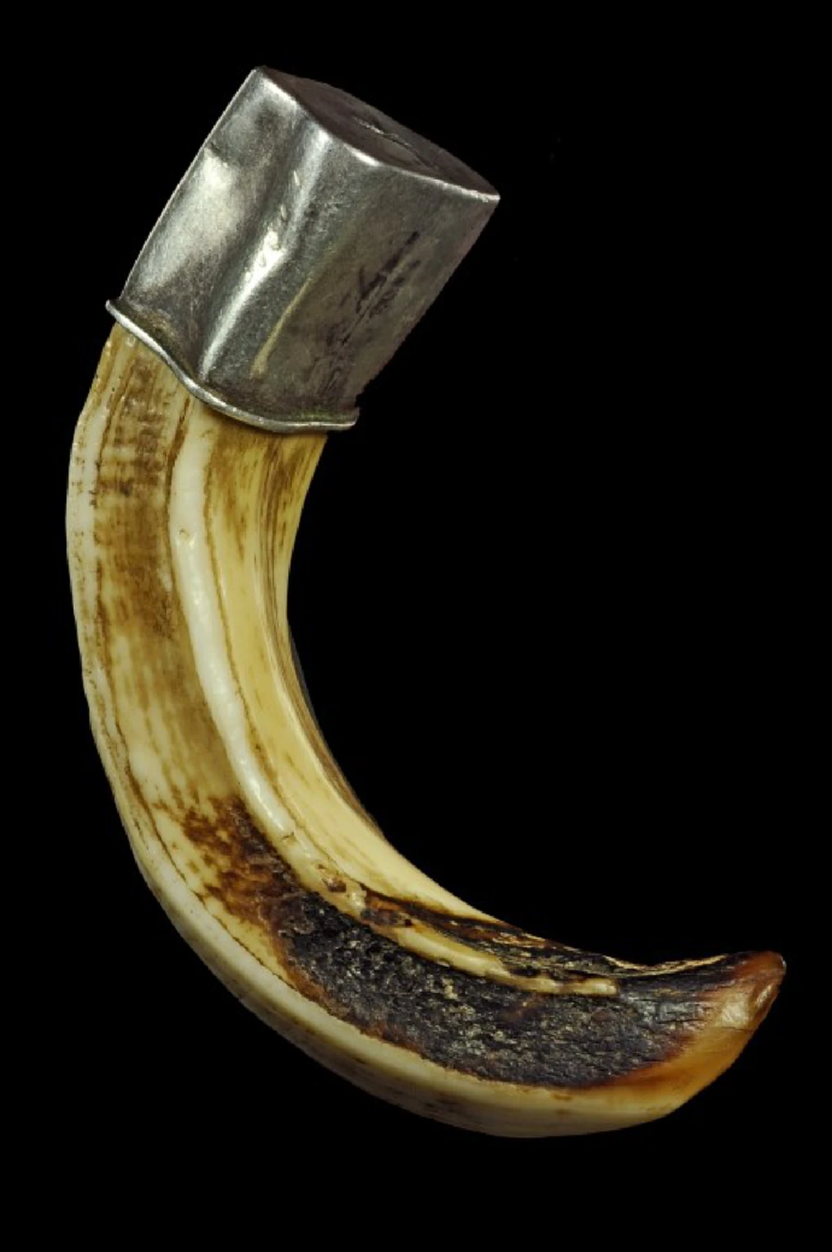 หมูป่าตัวผู้..เขี้ยวตันตั้งแต่โคนถึงปลายเขี้ยว จะยิงไม่ออกหรือยิงไม่เข้า "เขี้ยวหมูตัน"อีกหนึ่งของทนสิทธิ์ที่ขลังในตัว..ไม่ต้องปลุกเสก.