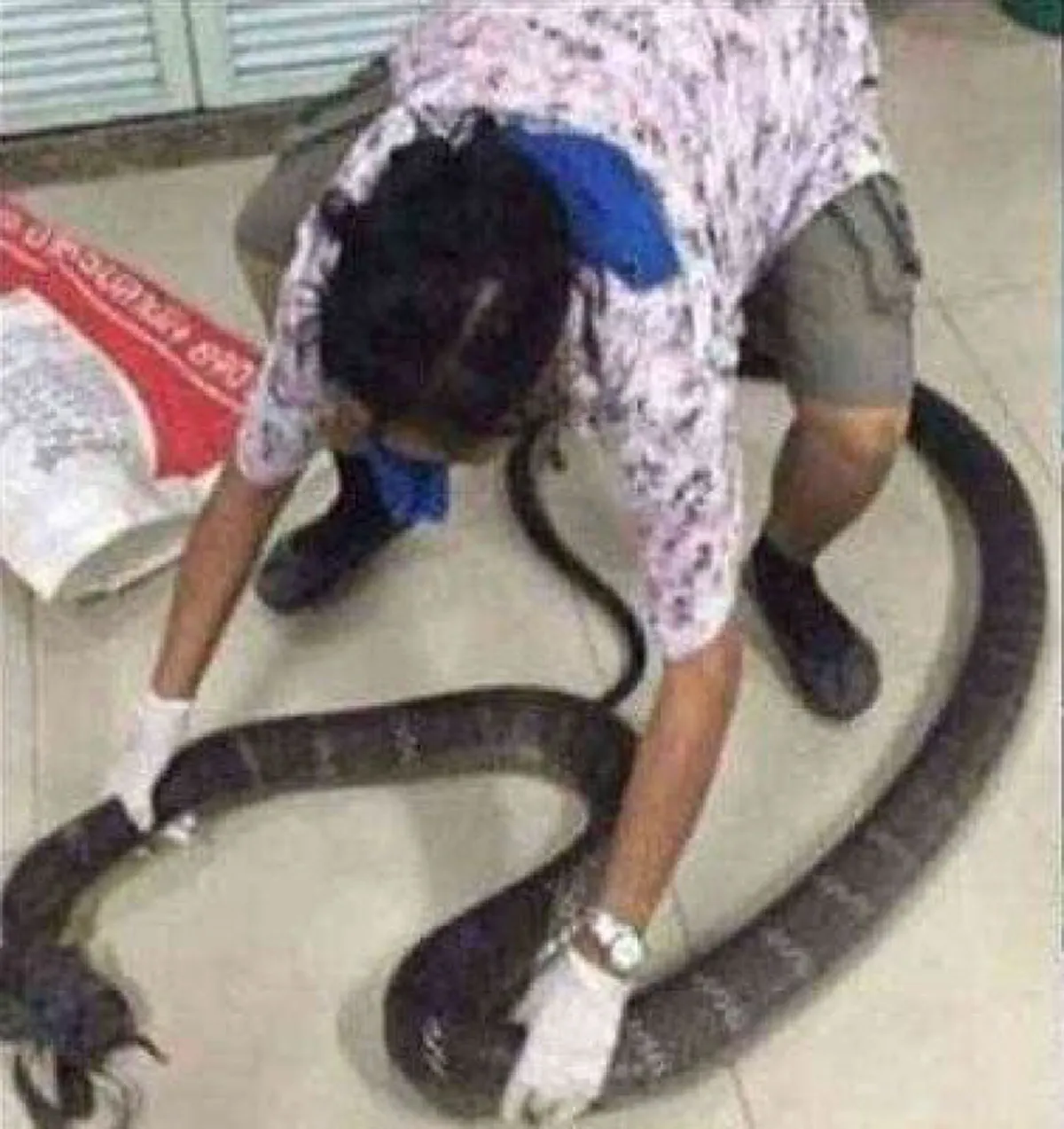 สาเหตุทำไมฆ่า "งู" ตาย 1 ตัว ทำไมถึงมี "งู" มาอีก เรื่องนี้แปลกจริงๆ