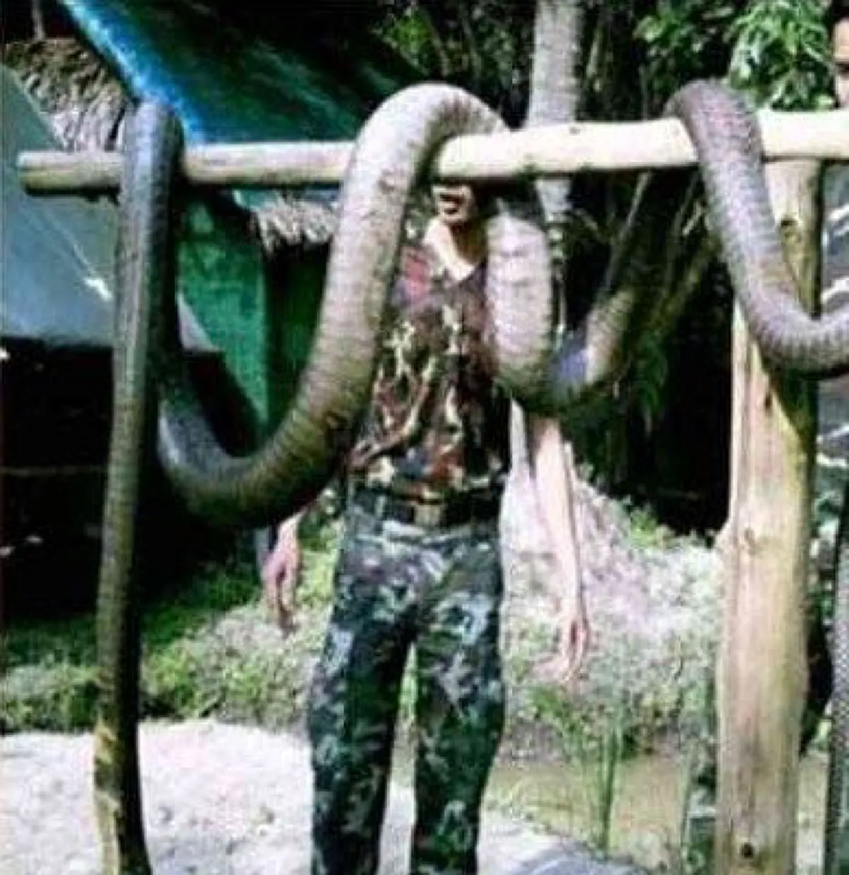 สาเหตุทำไมฆ่า "งู" ตาย 1 ตัว ทำไมถึงมี "งู" มาอีก เรื่องนี้แปลกจริงๆ