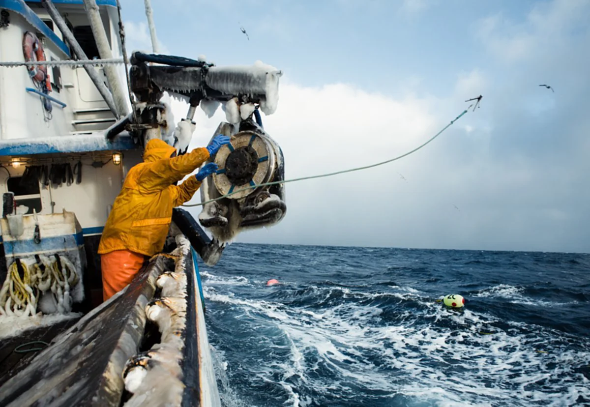 รับสมัครหน่วยกล้าตาย!! เปิดภาพ “Deadliest Catch” อาชีพเสี่ยงตาย แต่รายได้งาม ทำงาน 5 วัน/ปี รับทันที 3.5 ล้าน (คลิป-ภาพ)