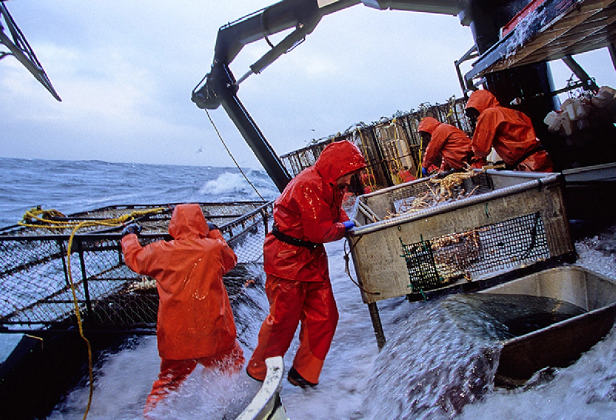 รับสมัครหน่วยกล้าตาย!! เปิดภาพ “Deadliest Catch” อาชีพเสี่ยงตาย แต่รายได้งาม ทำงาน 5 วัน/ปี รับทันที 3.5 ล้าน (คลิป-ภาพ)